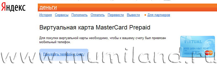 Создаем виртуальную карту MasterCard Prepaid в Яндекс.Деньги, шаг 3